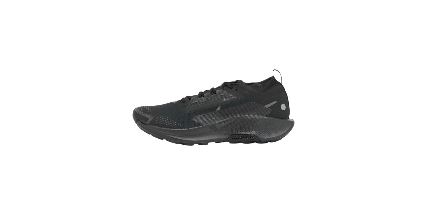 Nike Running Pegasus Trail 5 GORE-TEX