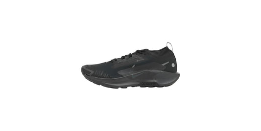 Nike Running Pegasus Trail 5 GORE-TEX
